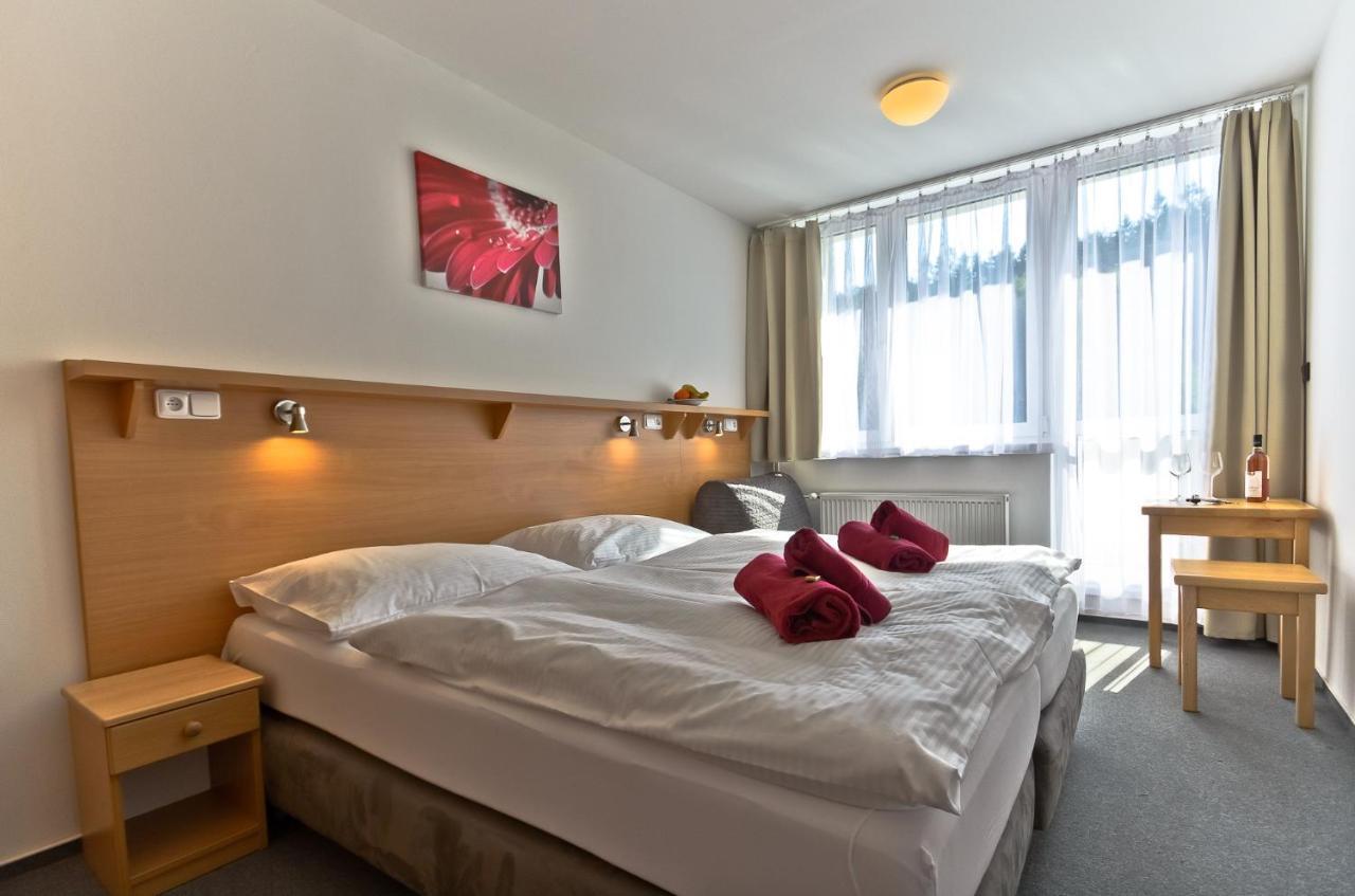 Luna Vysočina Hotel 3*